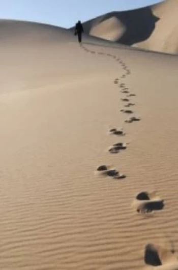 SÜRECİ BİZİMLE YAŞAYIP TECRÜBELERİNİ PAYLAŞANLAR